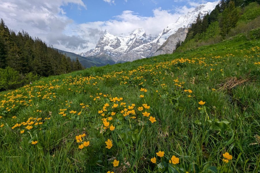 private-guiding-swiss-alps-custom-hiking-experience