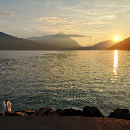 Sunset Lake Thun