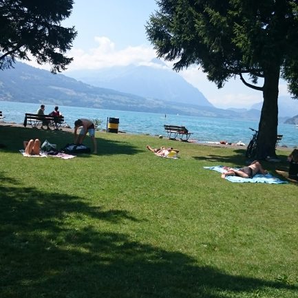 Lake Thun beach