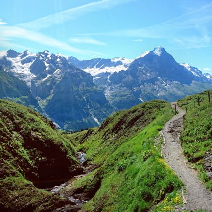 Glacier guided hike in Swiss Alps