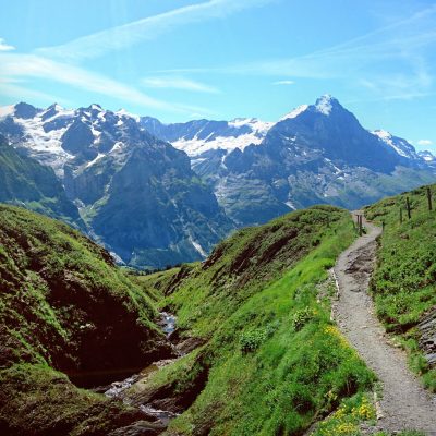 glacier-view-hike-with-guides-19