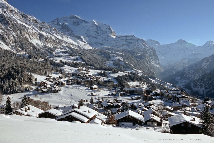 Sledding Adventure: From Kleine Scheidegg to Wengen