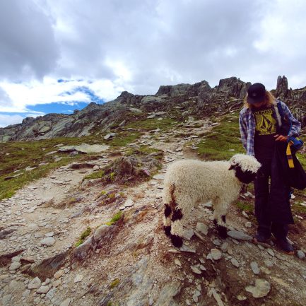 Swiss wildlife and alpine hiking tours